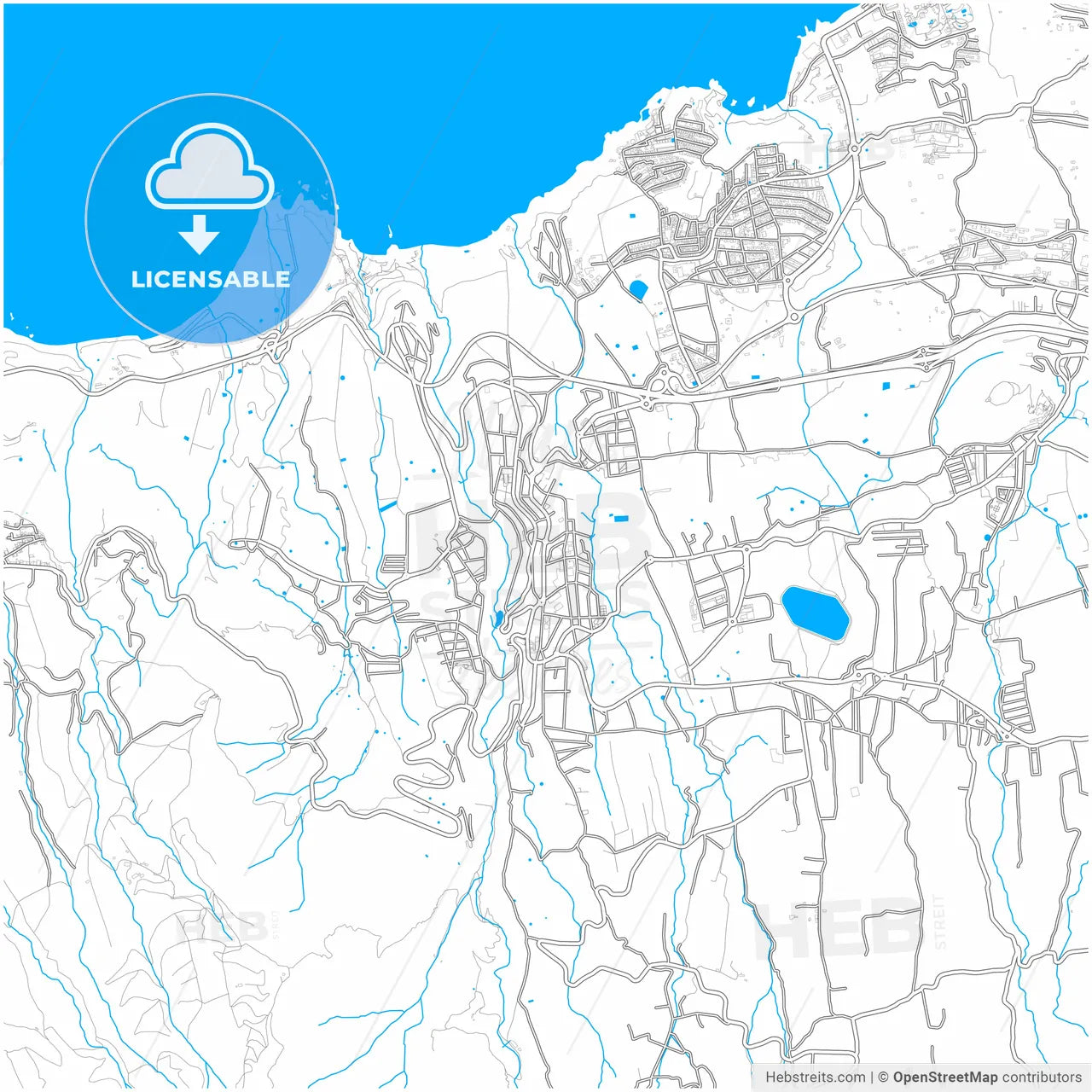 Realejo Alto, Santa Cruz de Tenerife, Spain, city map with high resolution roads.