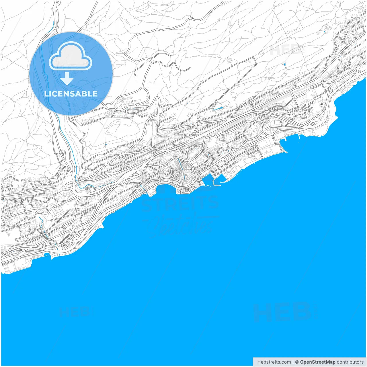 Neuchâtel, Switzerland, city map with high resolution roads.