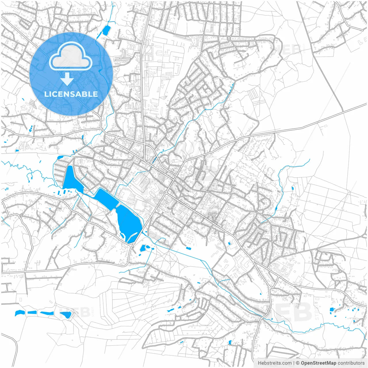 Vasylkiv, Kyiv Oblast, Ukraine, city map with high resolution roads.