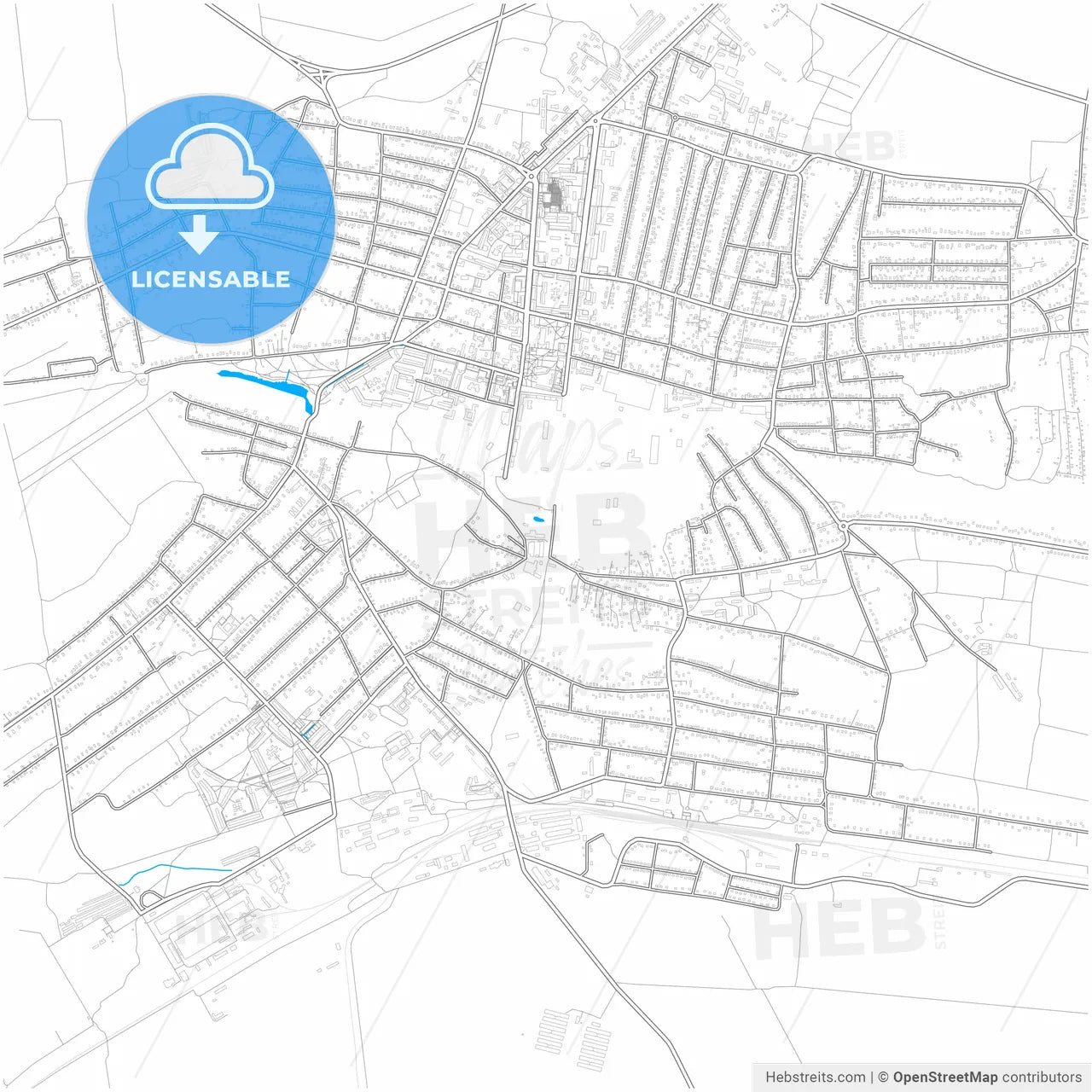 Tokmak, Zaporizhia Oblast, Ukraine, city map with high resolution roads.