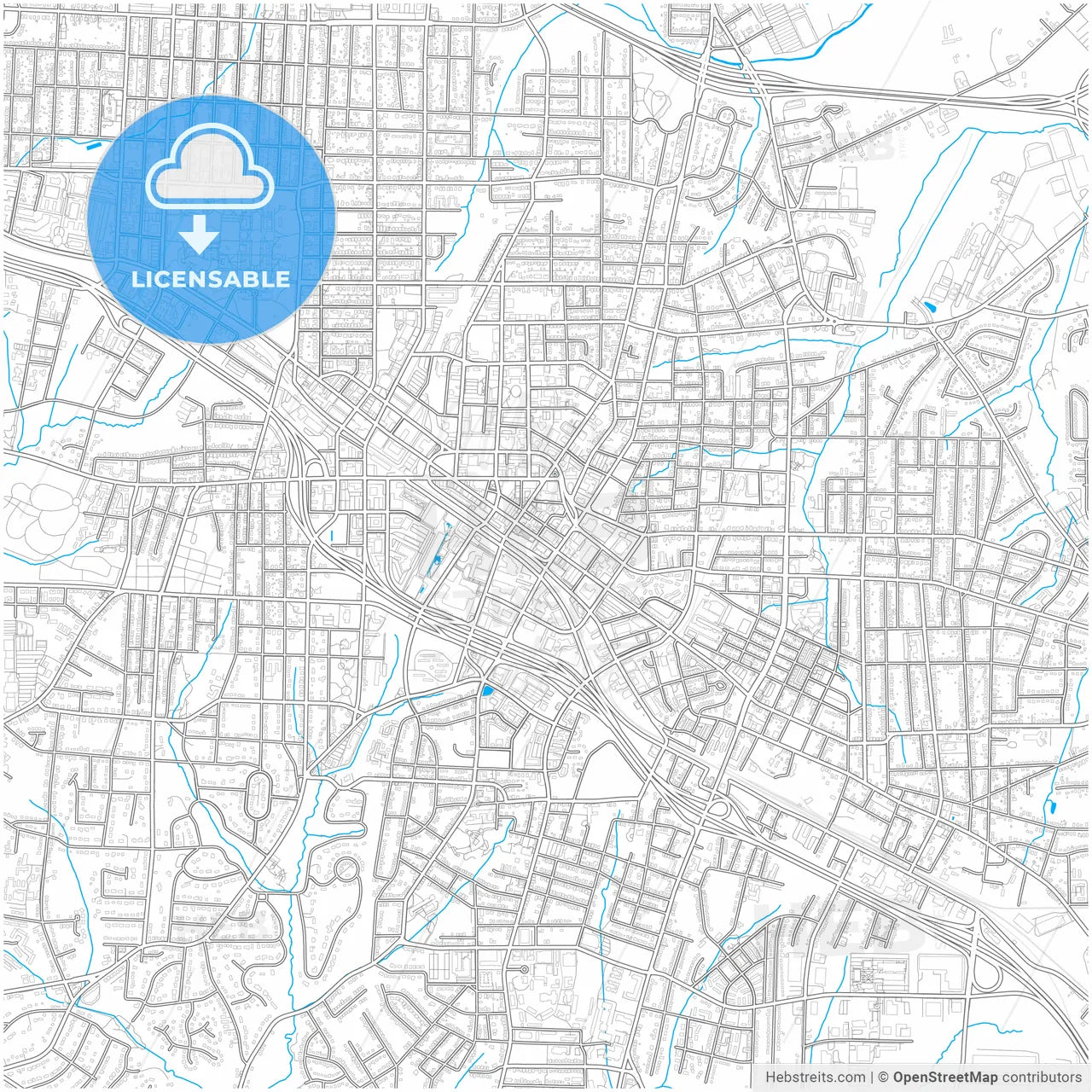 Durham, North Carolina, United States, city map with high resolution roads.
