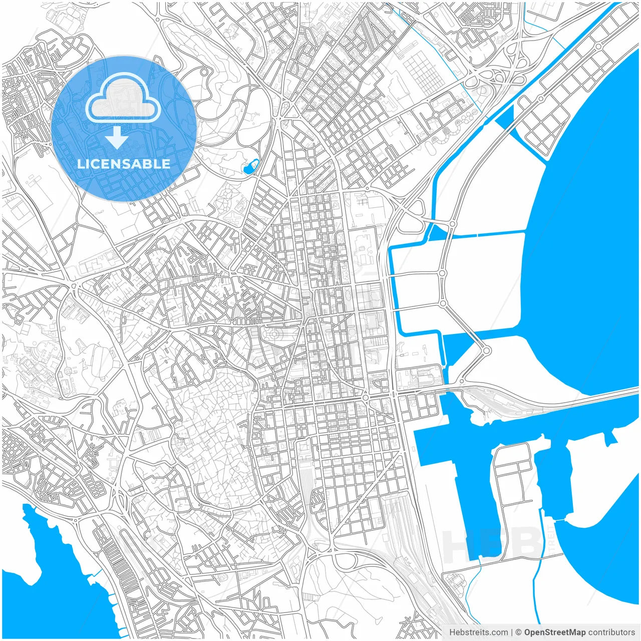 Tunis, Tunisia, city map with high resolution roads.