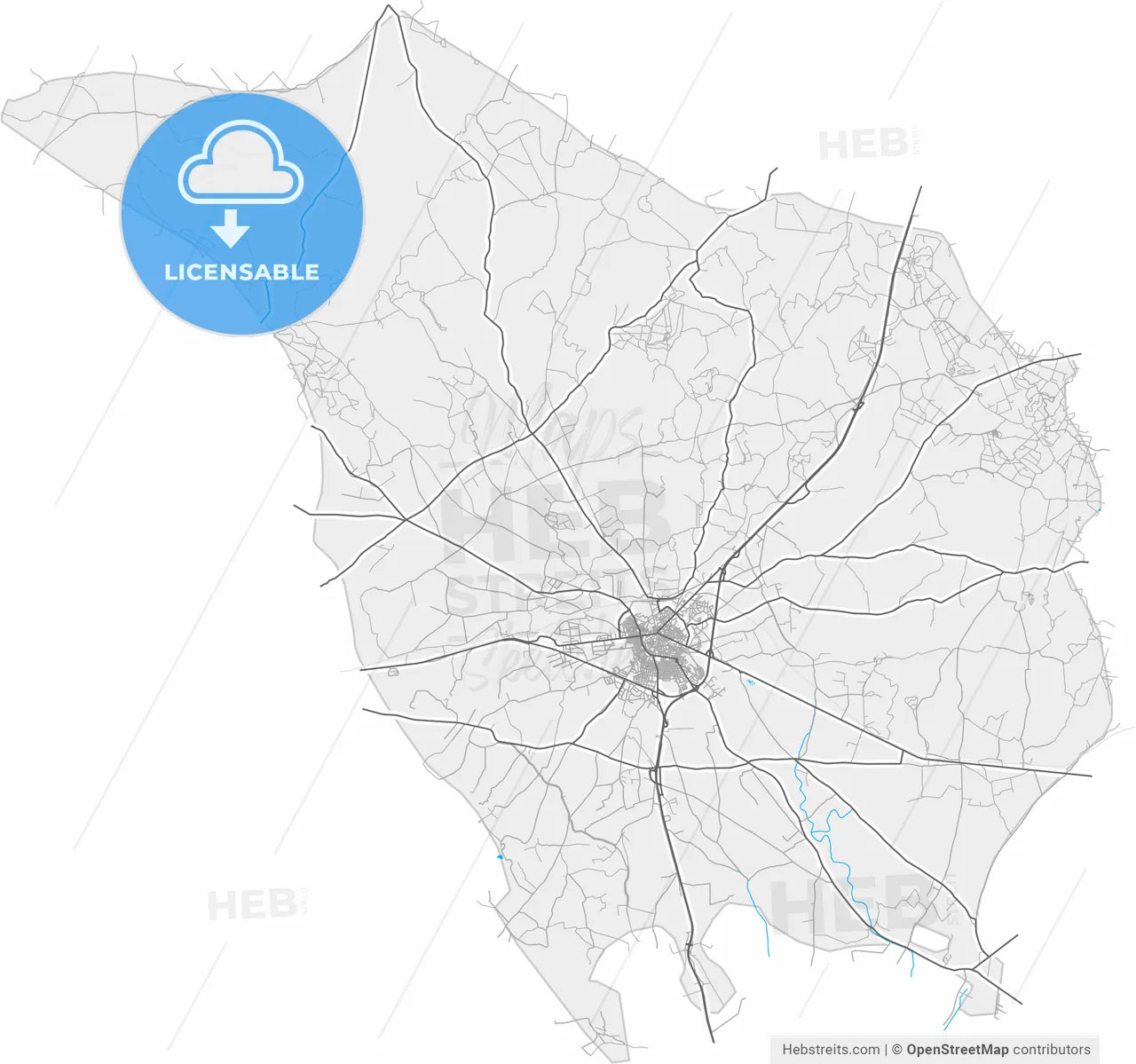 Altamura, Apulia, Italy, high resolution vector map - Instant download PDF and JPG