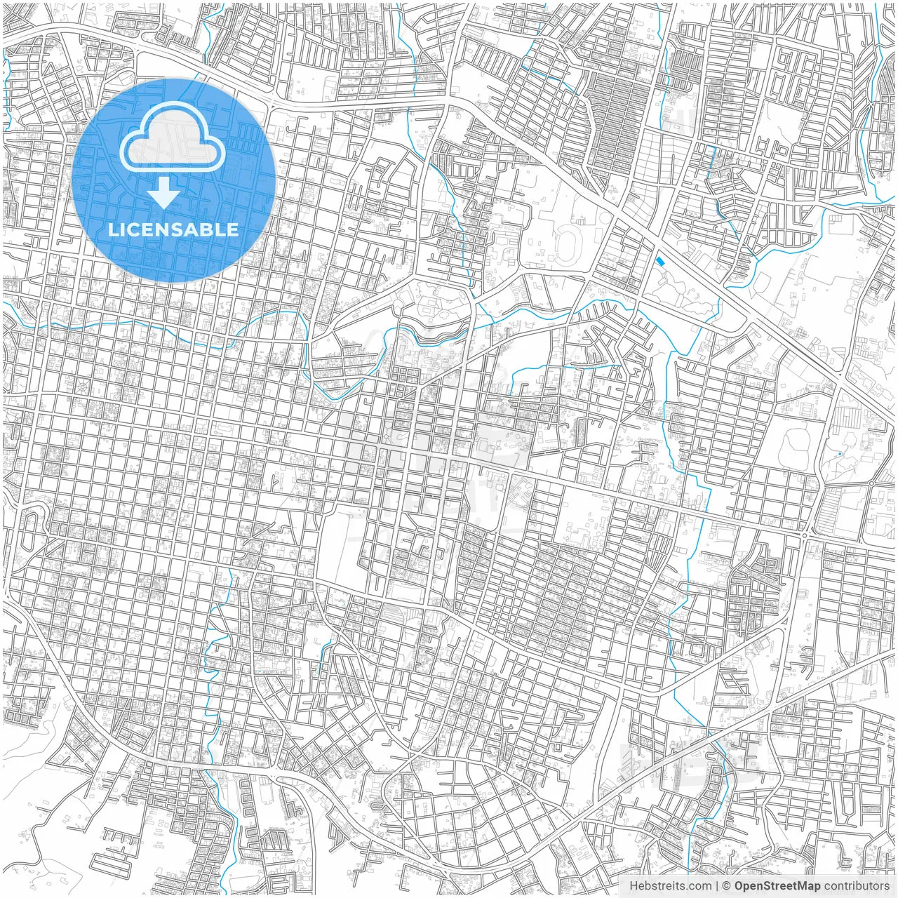 Tuxtla Gutiérrez, Chiapas, Mexico, city map with high resolution roads.