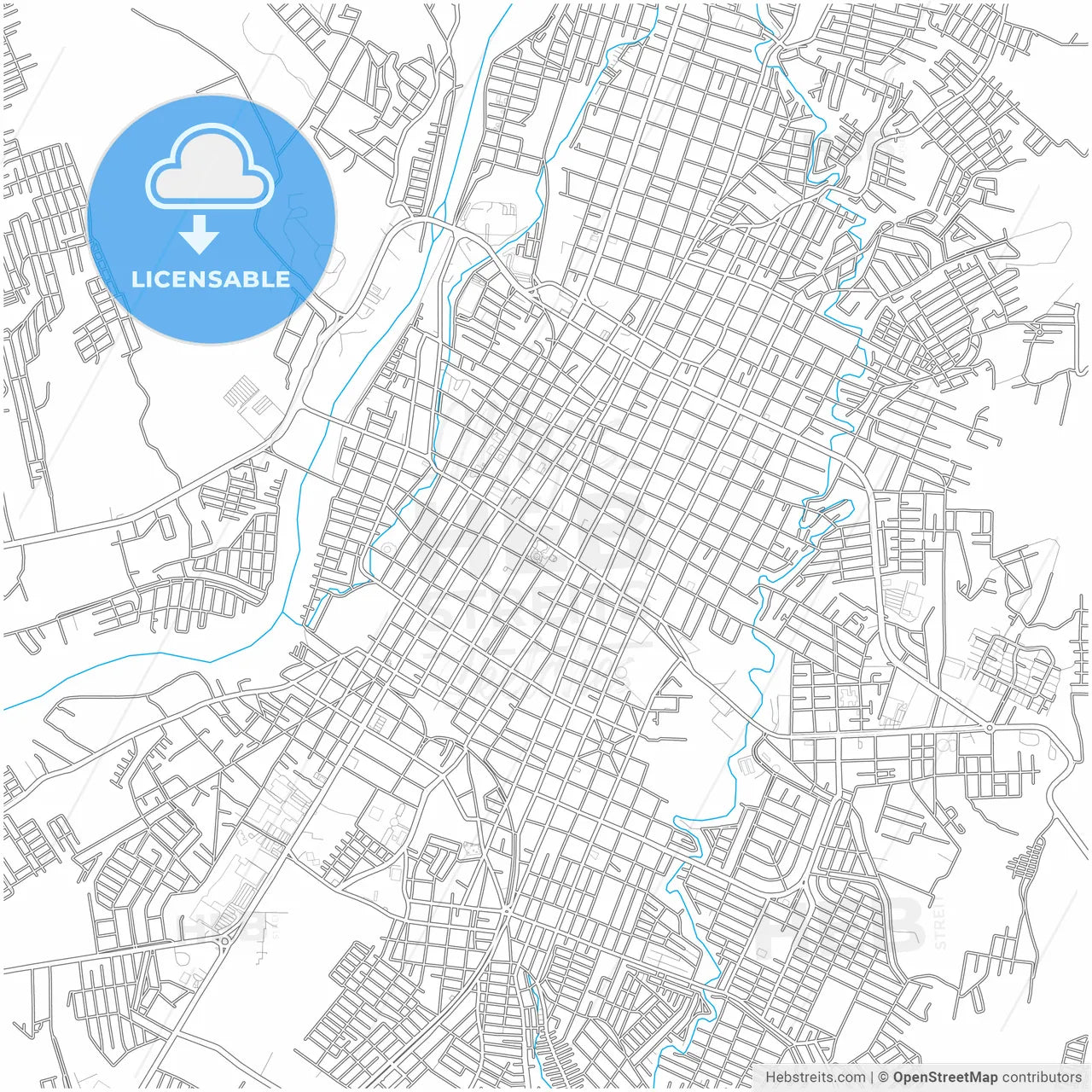 Tapachula, Chiapas, Mexico, city map with high resolution roads.