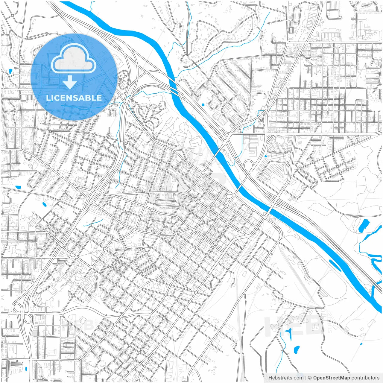 Macon, Georgia, United States, city map with high resolution roads.