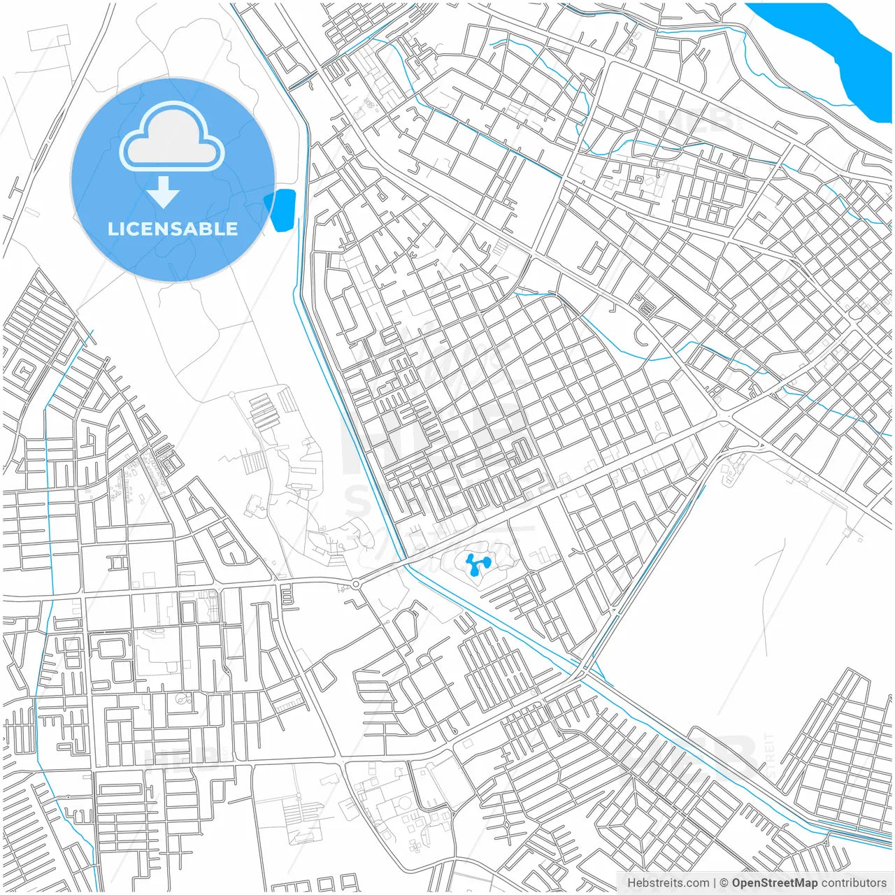 Barinas, Venezuela, city map with high resolution roads.