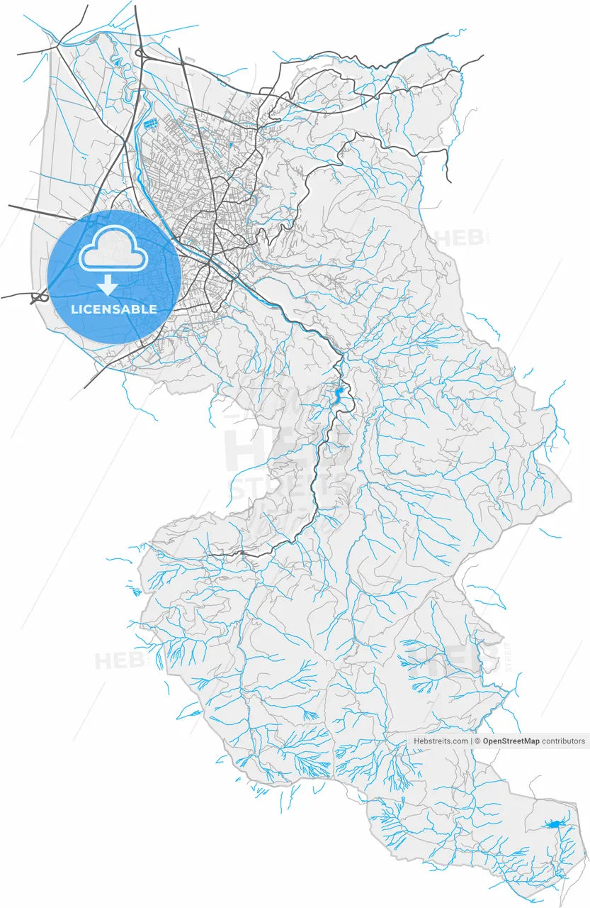 Dornbirn, Vorarlberg, Austria, high resolution vector map - Instant download PDF and JPG