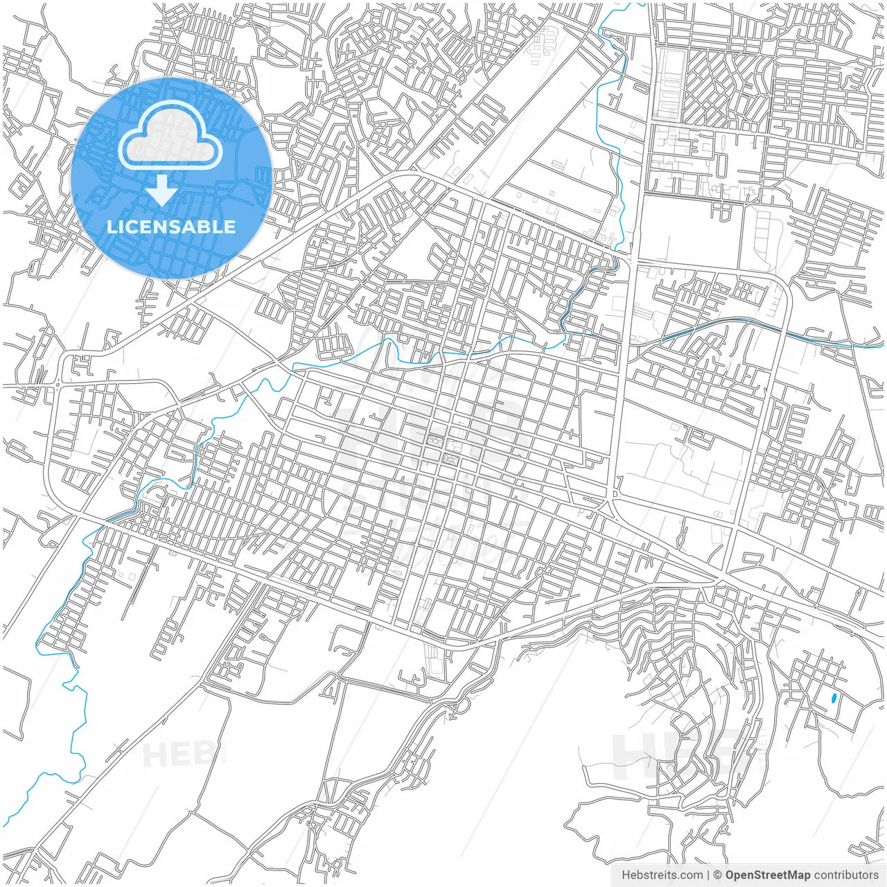 Iguala, Guerrero, Mexico, city map with high resolution roads.