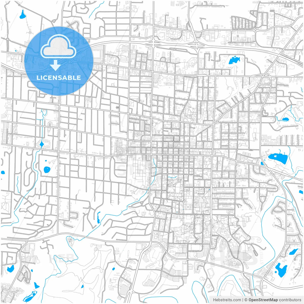 Columbia, Missouri, United States, city map with high resolution roads.