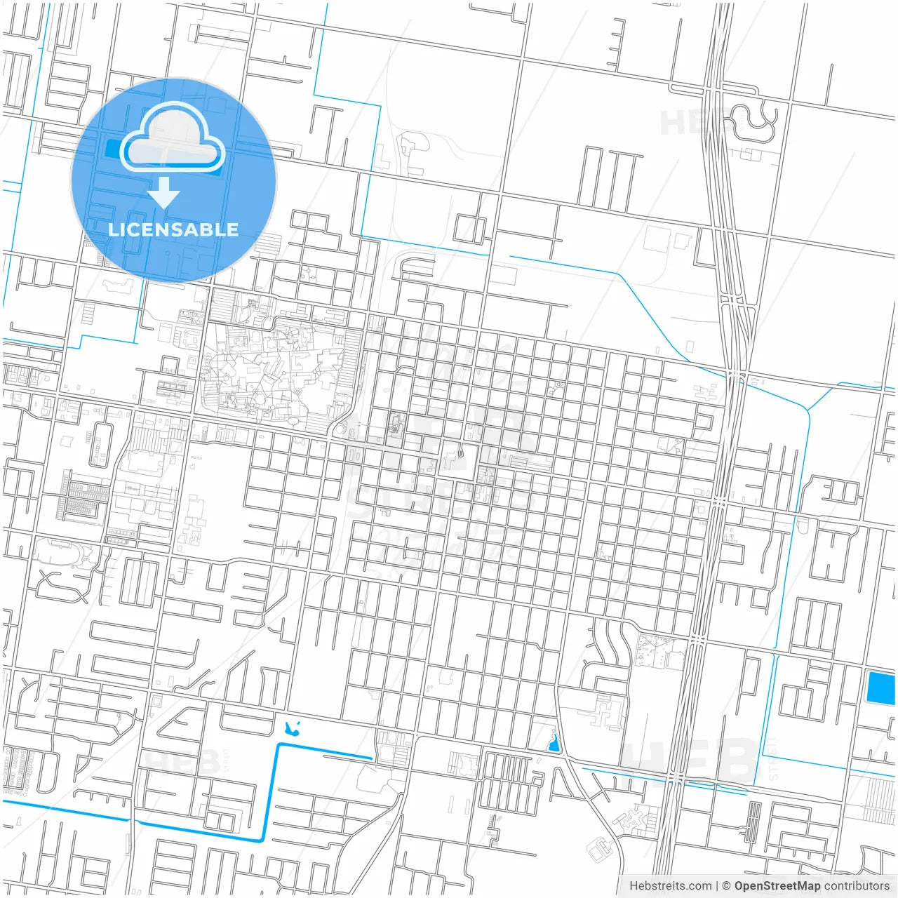 Edinburg, Texas, United States, city map with high resolution roads.