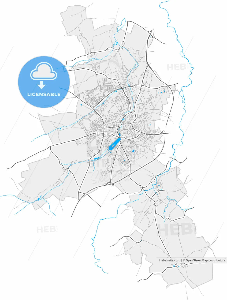 Altenburg, Thuringia, Germany, high resolution vector map - Instant download PDF and JPG