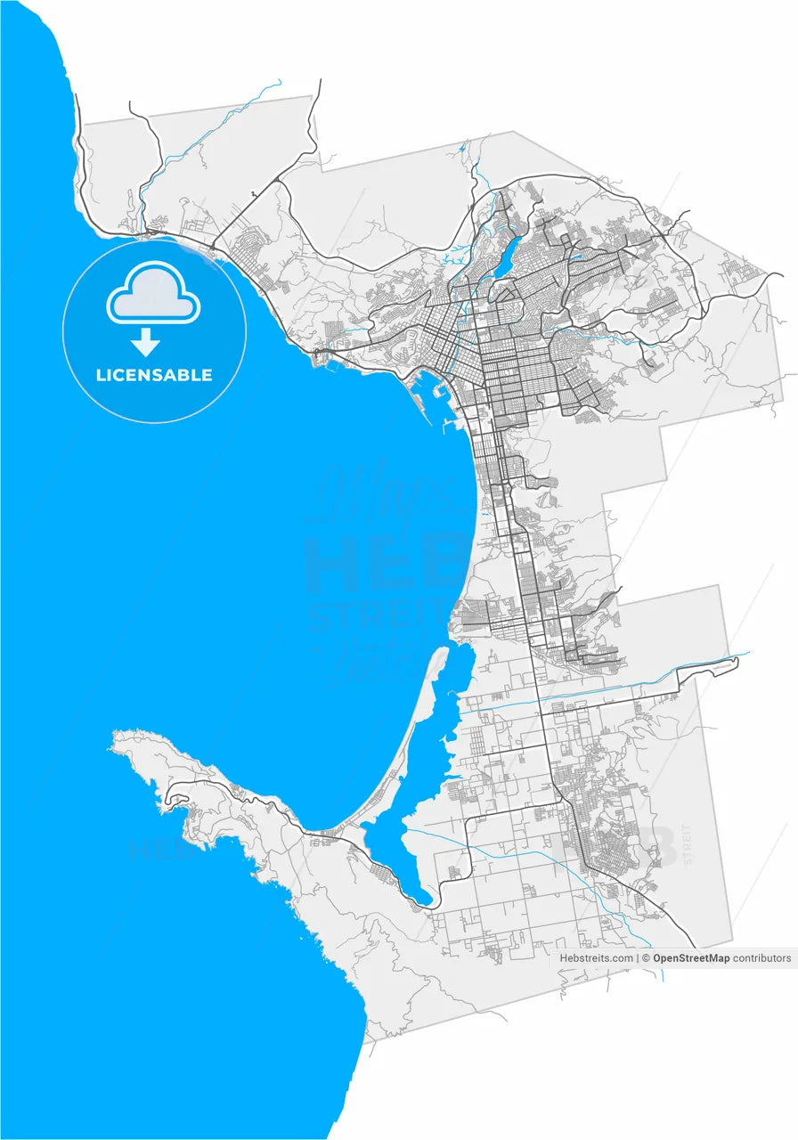 Ensenada, Baja California, Mexico, high resolution vector map - Instant download PDF and JPG