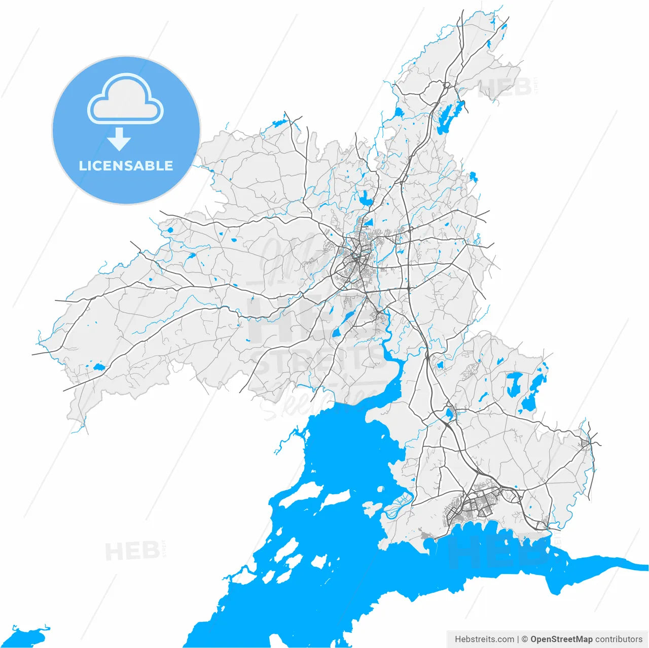 Ennis, County Clare, Ireland, high resolution vector map - Instant download PDF and JPG