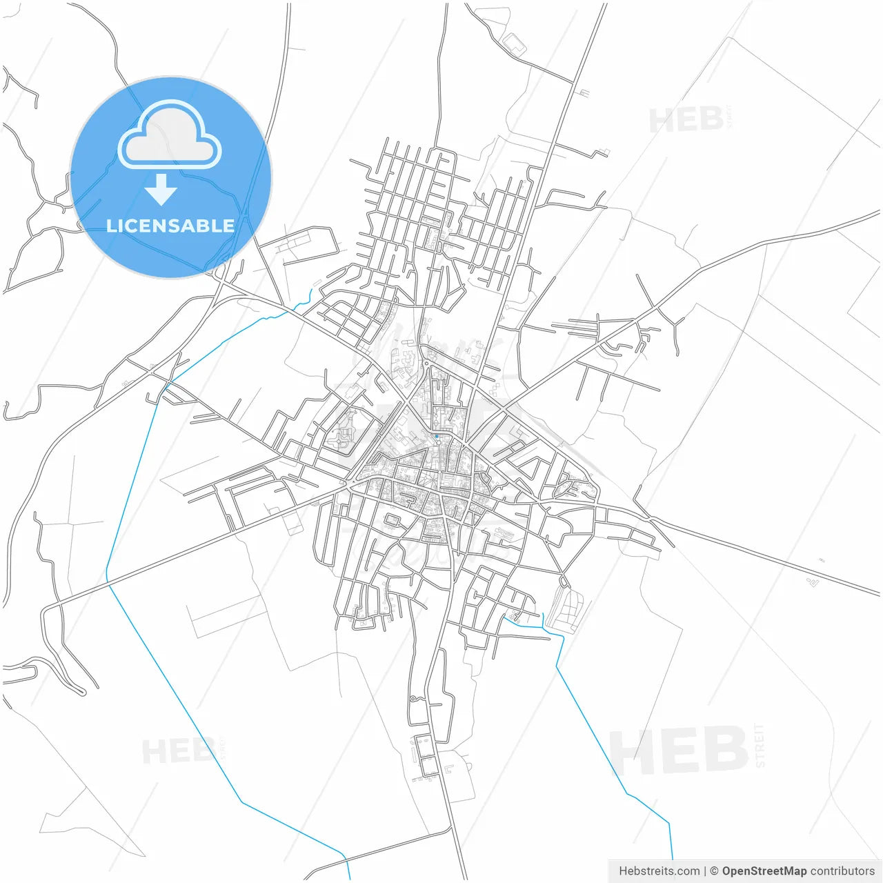 Negotin, Bor, Serbia, city map with high resolution roads.