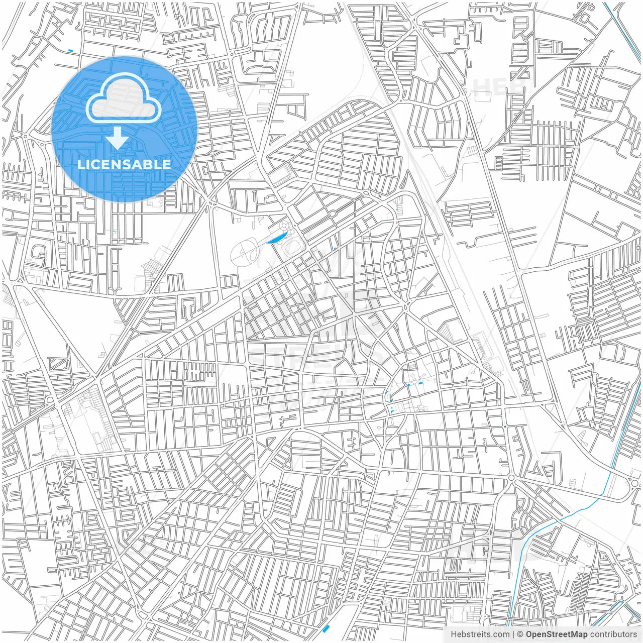 Irapuato, Guanajuato, Mexico, city map with high resolution roads.