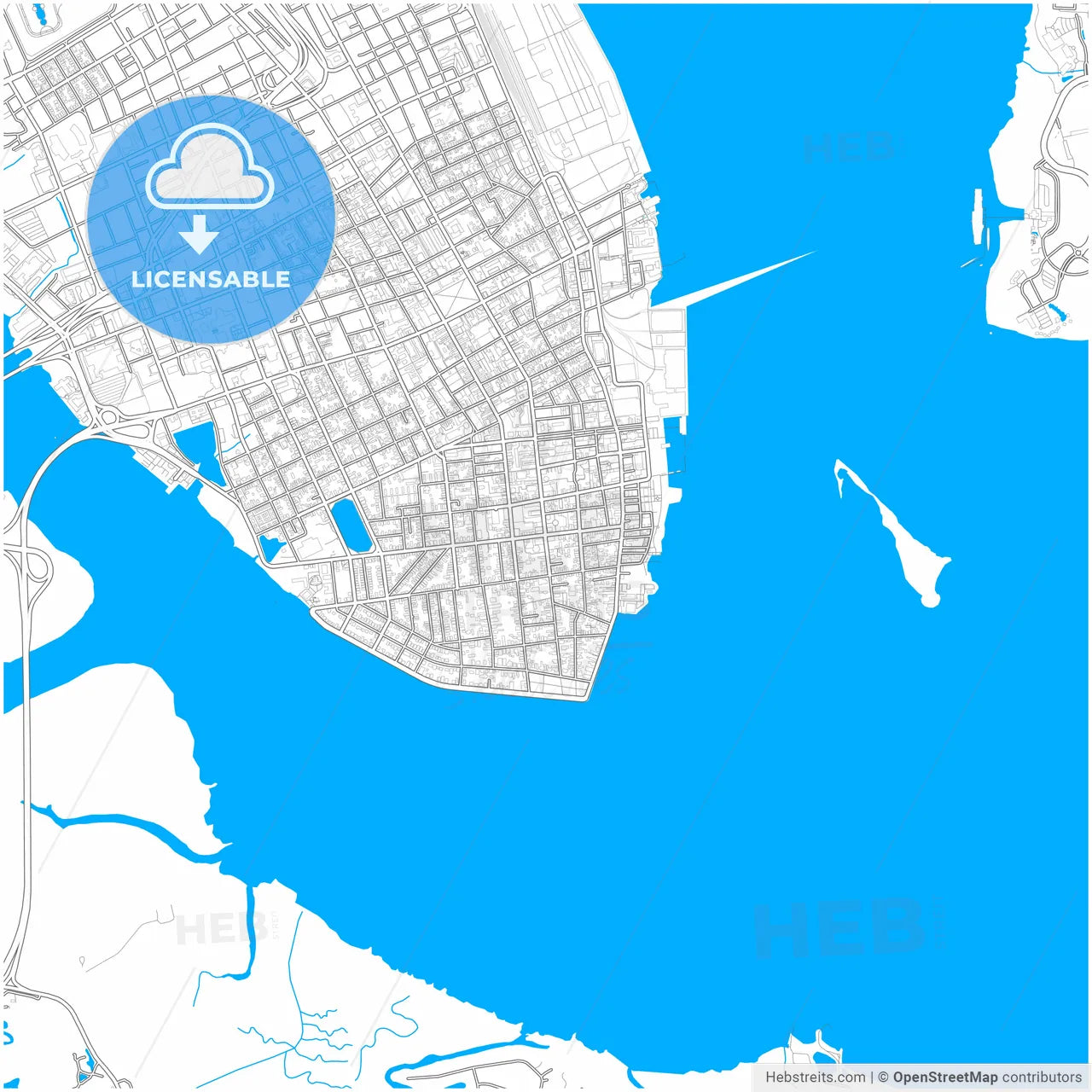 Charleston, South Carolina, United States, city map with high resolution roads.