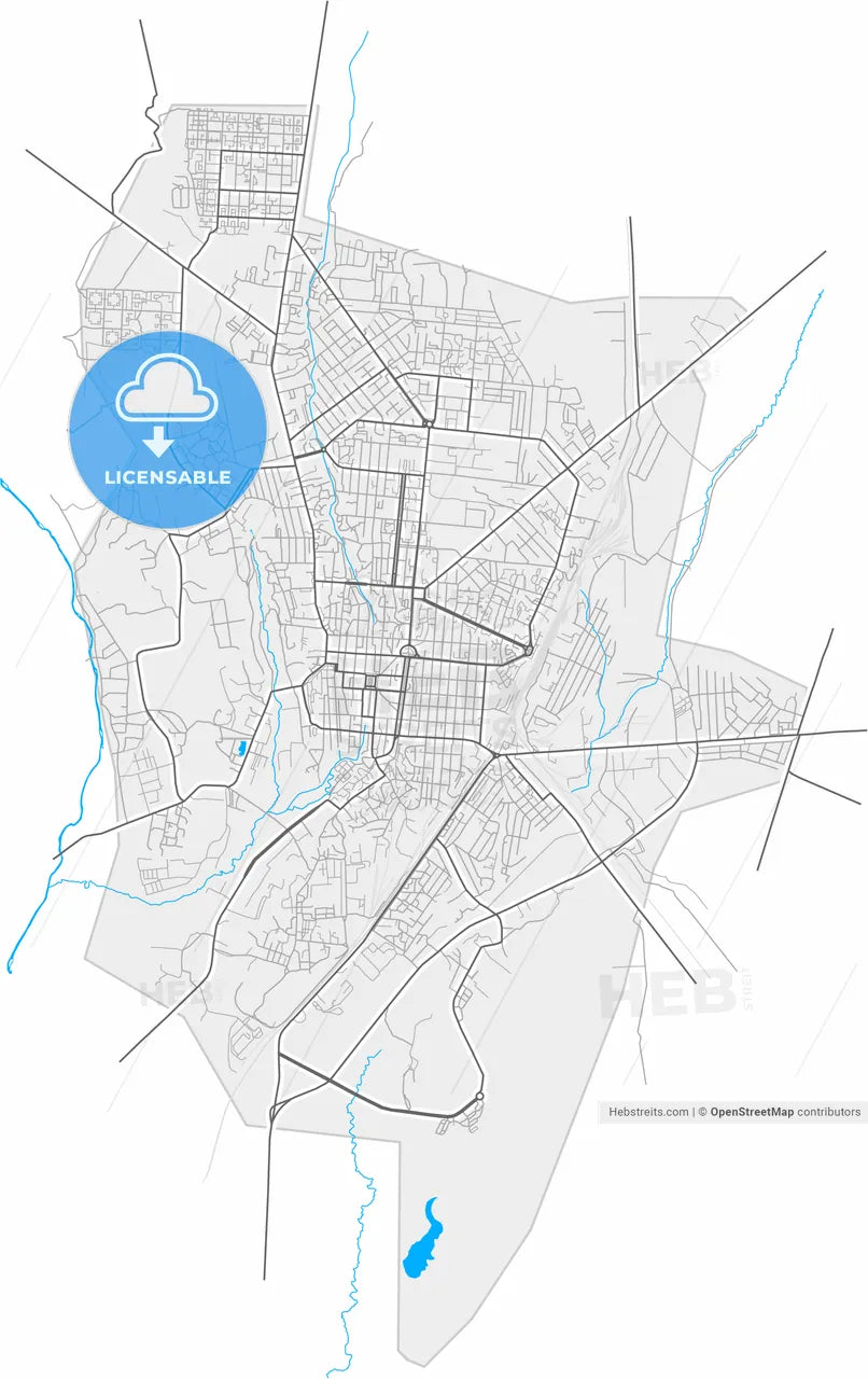 Gyumri, Shirak, Armenia, high resolution vector map - Instant download PDF and JPG