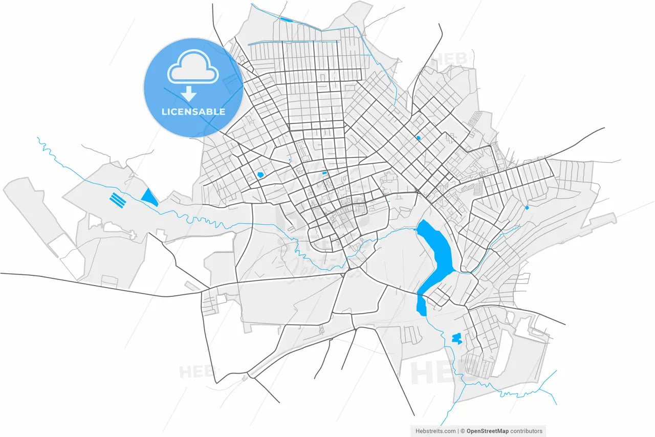 Klintsy, Bryansk Oblast, Russia, high resolution vector map - Instant download PDF and JPG