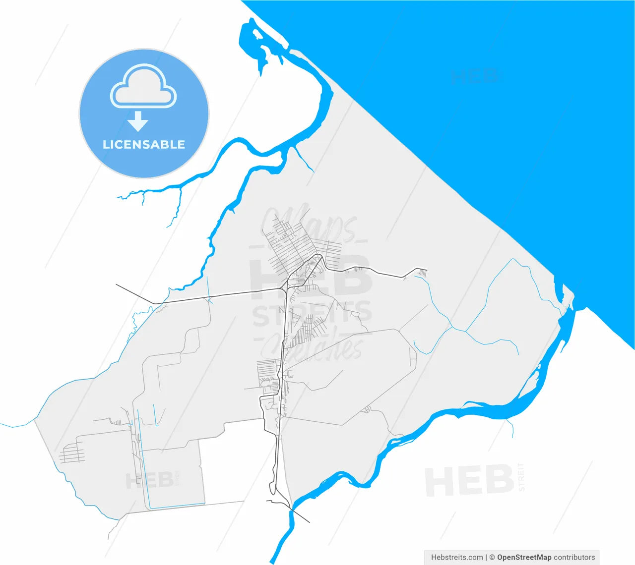 Changuinola, Bocas del Toro, Panama, high resolution vector map - Instant download PDF and JPG