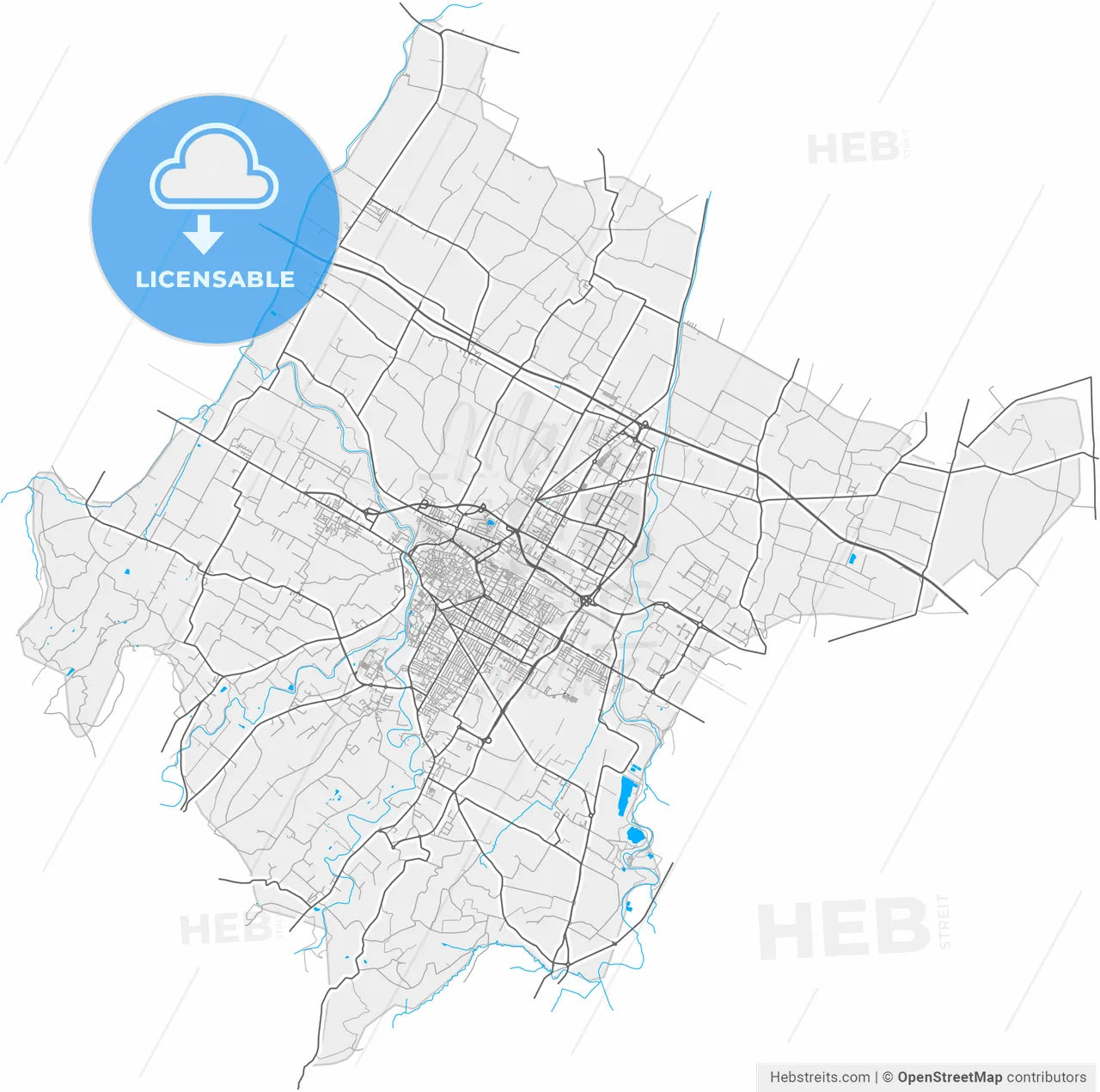 Forlì, Emilia-Romagna, Italy, high resolution vector map - Instant download PDF and JPG