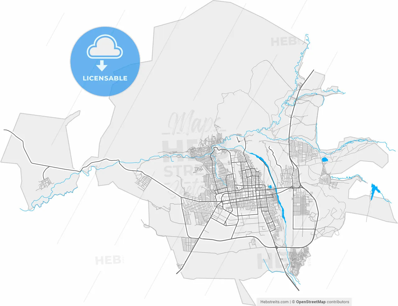 Taldykorgan, Almaty Province, Kazakhstan, high resolution vector map - Instant download PDF and JPG