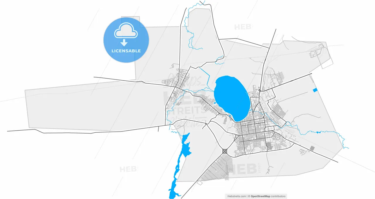 Kokshetau, Akmola Province, Kazakhstan, high resolution vector map - Instant download PDF and JPG