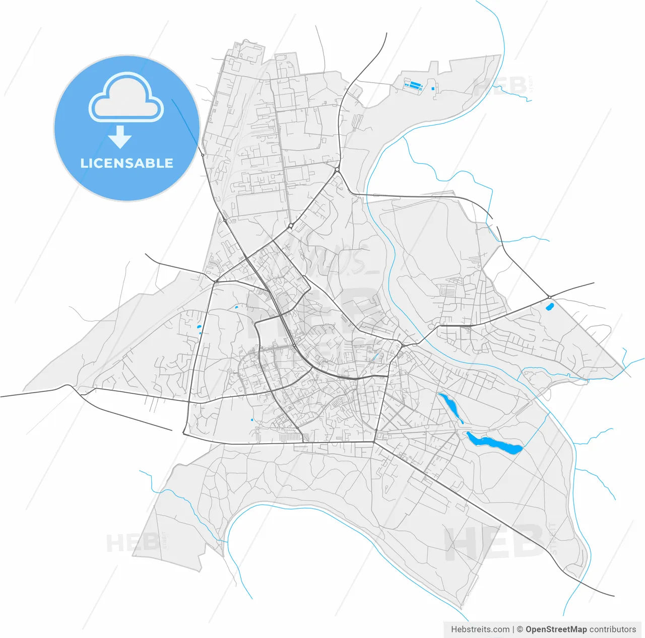 Alytus, Alytus County, Lithuania, high resolution vector map - Instant download PDF and JPG