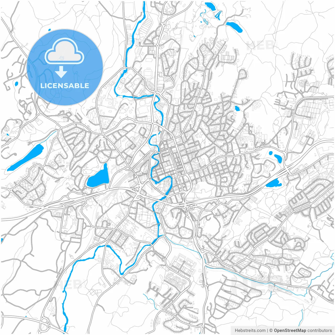 Borås, Sweden, city map with high resolution roads.