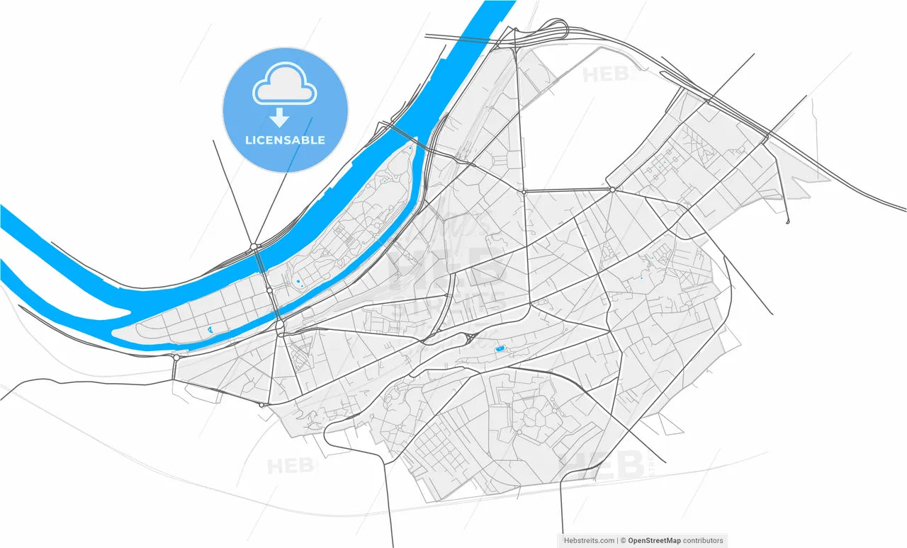 Issy-les-Moulineaux, Hauts-de-Seine, France, high resolution vector map - Instant download PDF and JPG