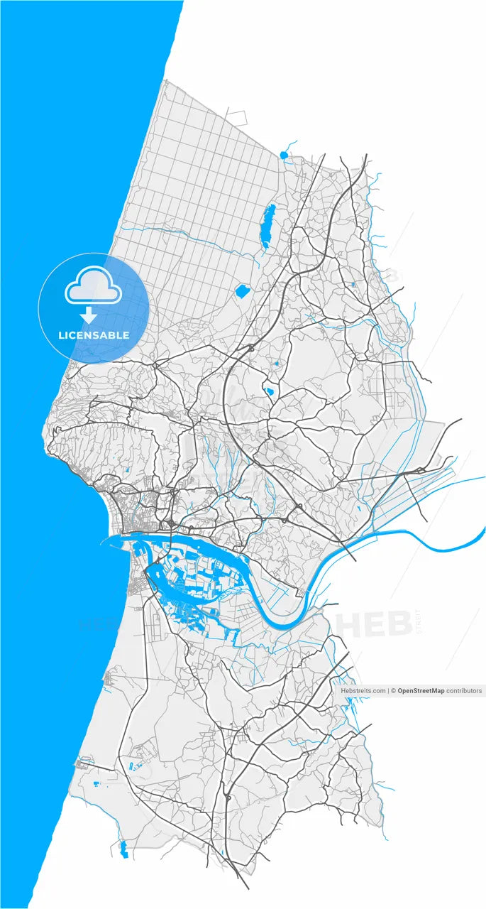 Figueira da Foz, Coimbra, Portugal, high resolution vector map - Instant download PDF and JPG