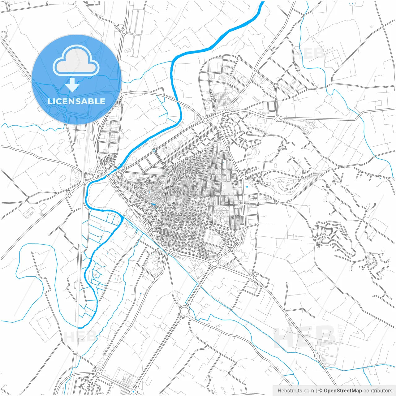 Alzira, Valencia, Spain, city map with high resolution roads.