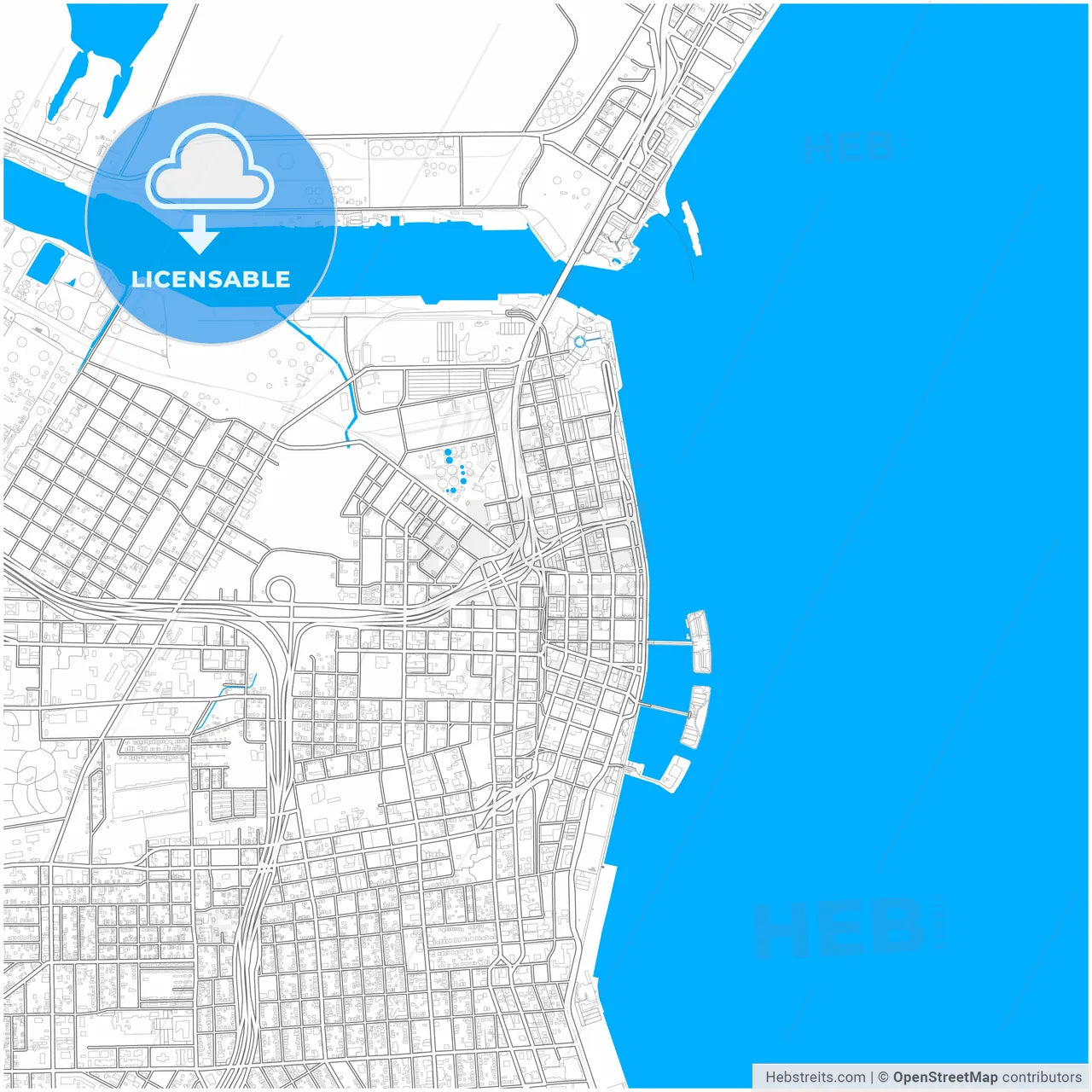 Corpus Christi, Texas, United States, city map with high resolution roads.
