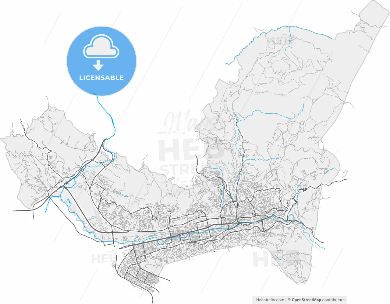 Sarajevo, Sarajevo Canton, Bosnia and Herzegovina, high resolution vector map - Instant download PDF and JPG