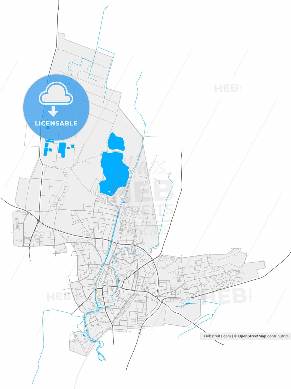Erding, Bavaria, Germany, high resolution vector map - Instant download PDF and JPG