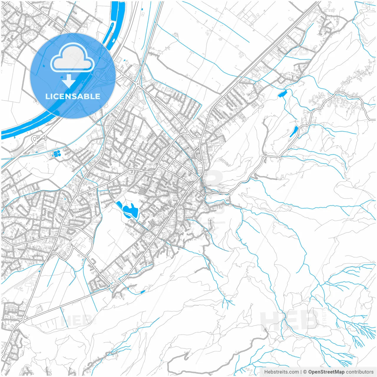 Hohenems, Vorarlberg, Austria, city map with high resolution roads.