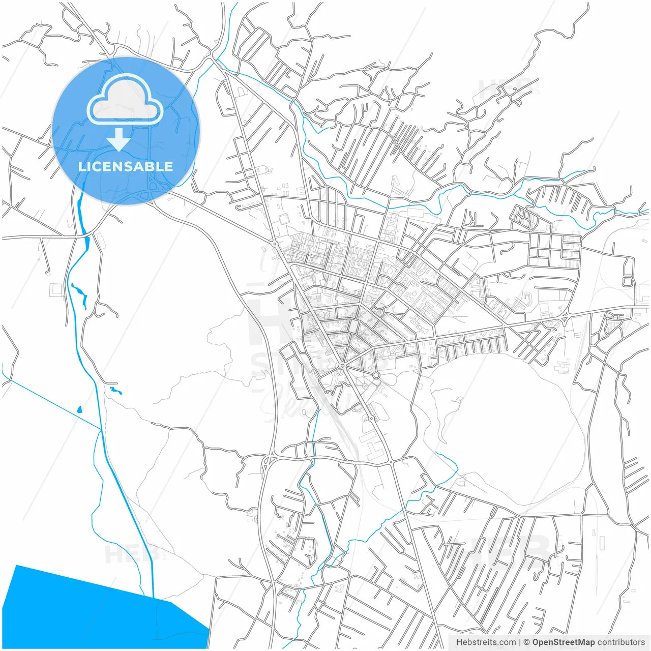 Nikšić, Central, Montenegro, city map with high resolution roads.