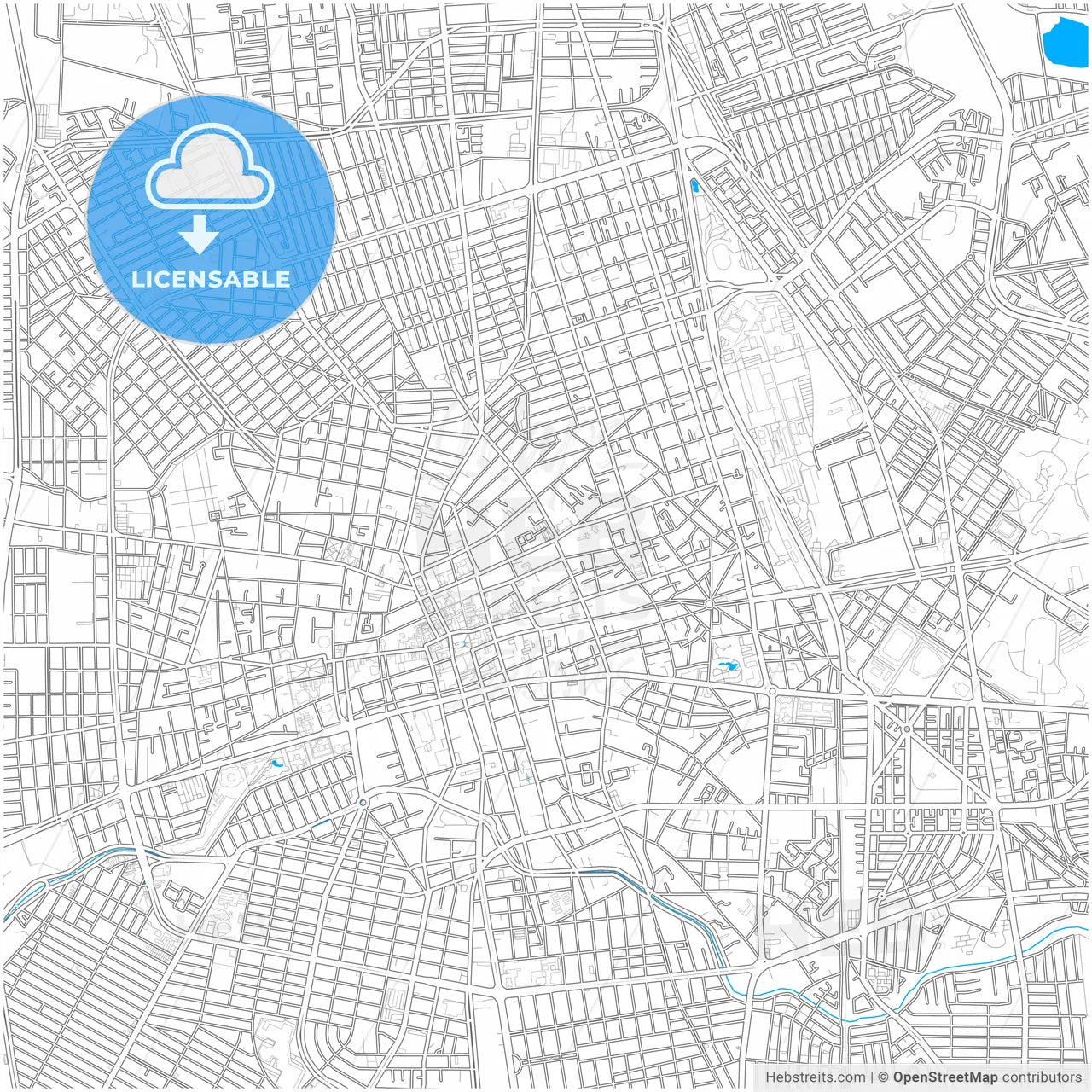 Aguascalientes, Aguascalientes, Mexico, city map with high resolution roads.