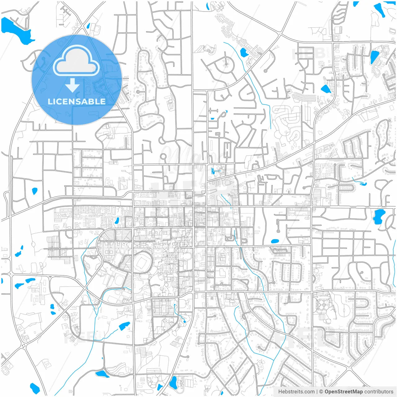 Auburn, Alabama, United States, city map with high resolution roads.