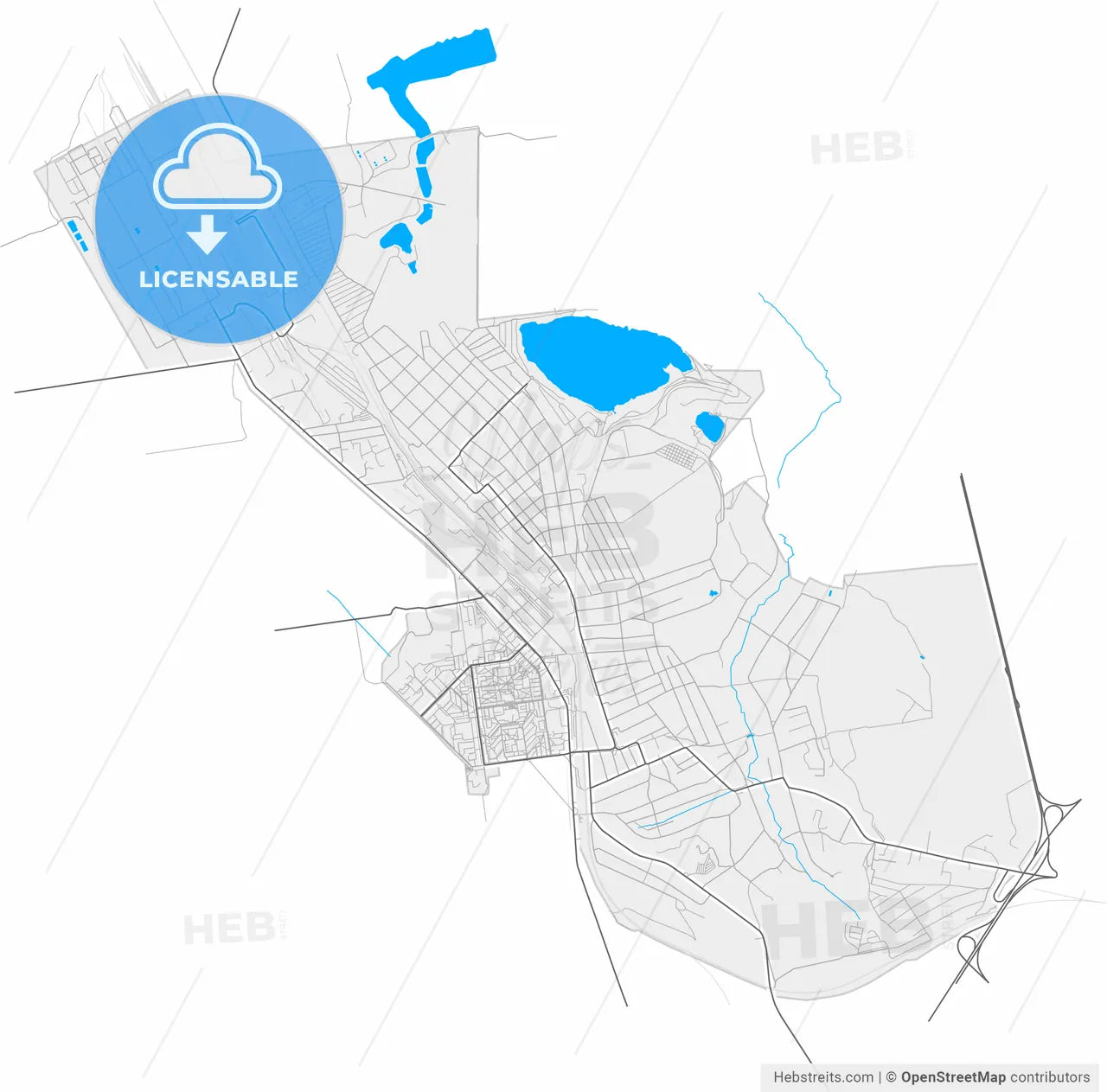 Avdiivka, Donetsk Oblast, Ukraine, high resolution vector map - Instant download PDF and JPG