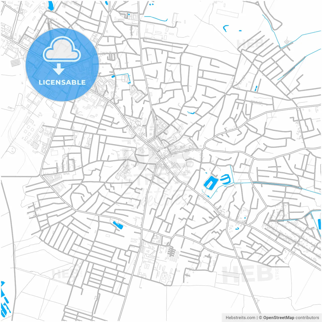 Boryspil, Kyiv Oblast, Ukraine, city map with high resolution roads.