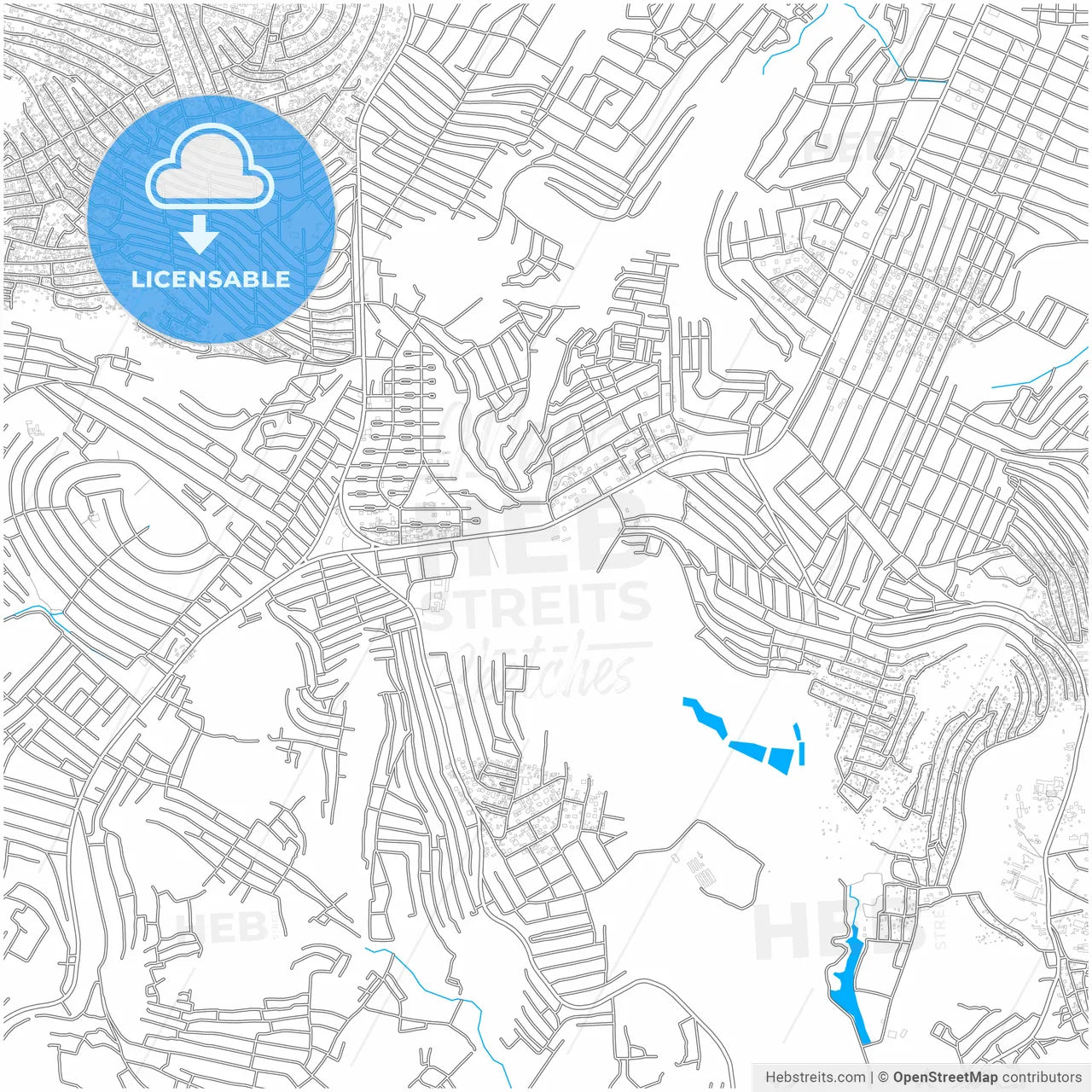 Kinshasa, DR Congo, city map with high resolution roads.