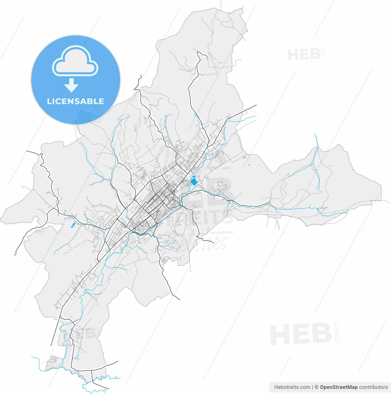 Bistrița, Bistrița-Năsăud, Romania, high resolution vector map - Instant download PDF and JPG