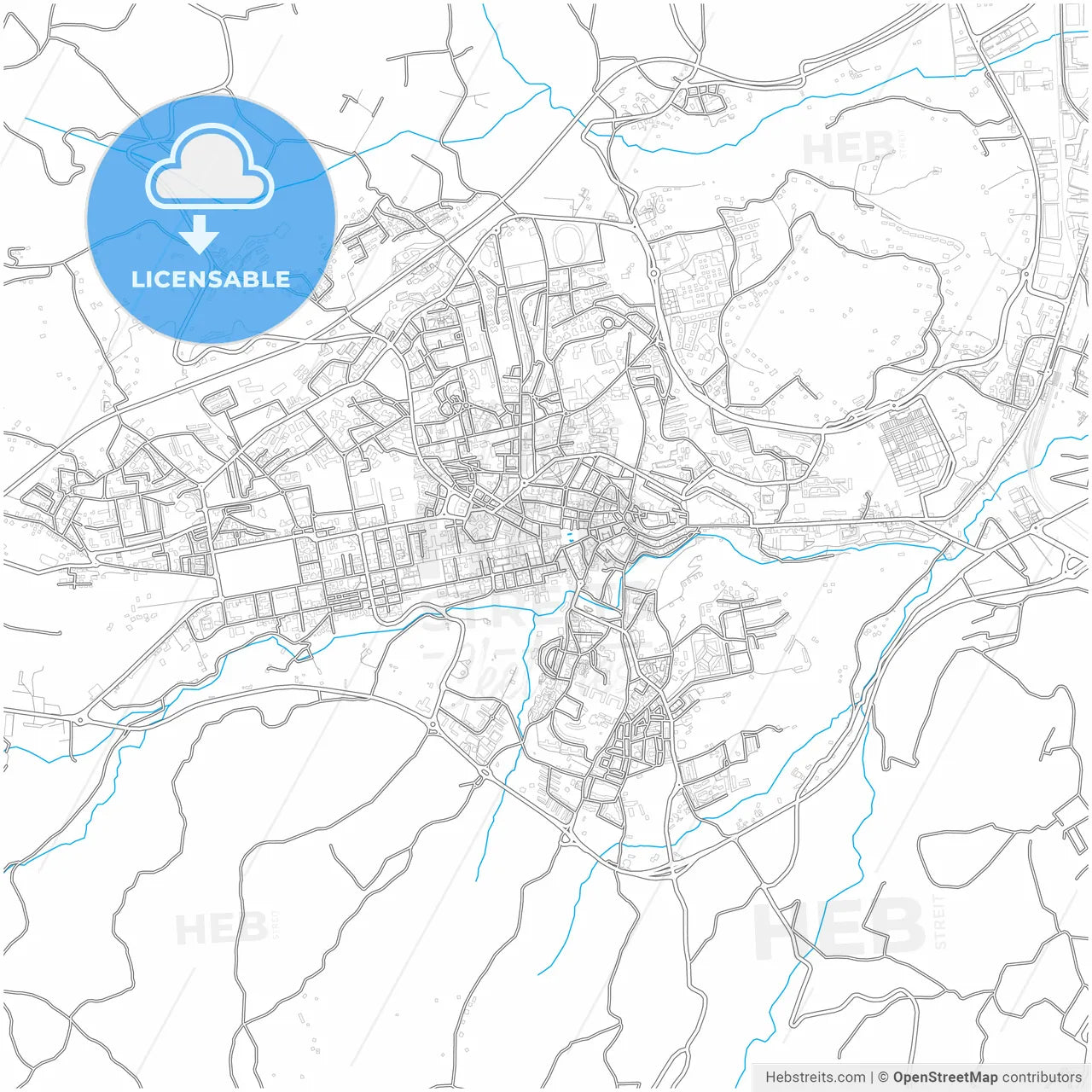 Avellino, Campania, Italy, city map with high resolution roads.