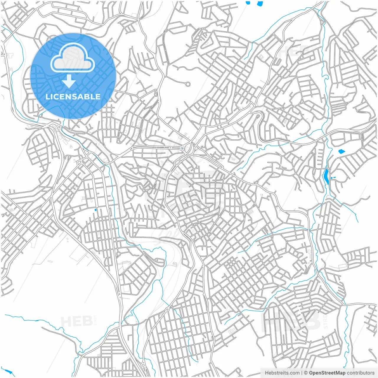 Conselheiro Lafaiete, Brazil, city map with high resolution roads.