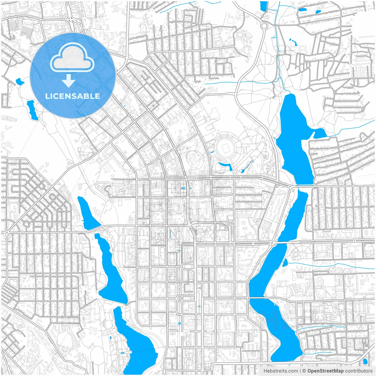 Donetsk, Donetsk Oblast, Ukraine, city map with high resolution roads.