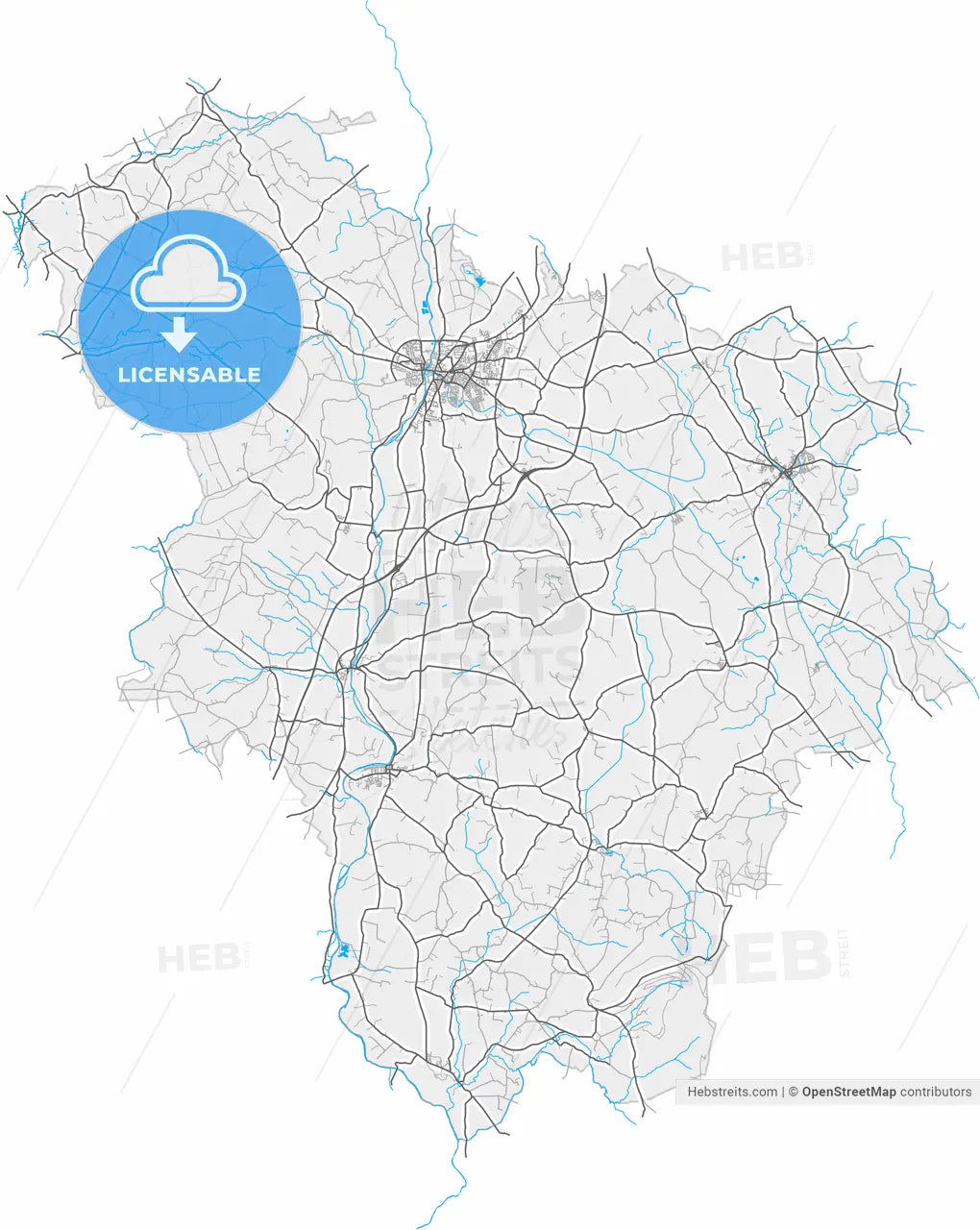 Carlow, County Carlow & County Laois, Ireland, high resolution vector map - Instant download PDF and JPG