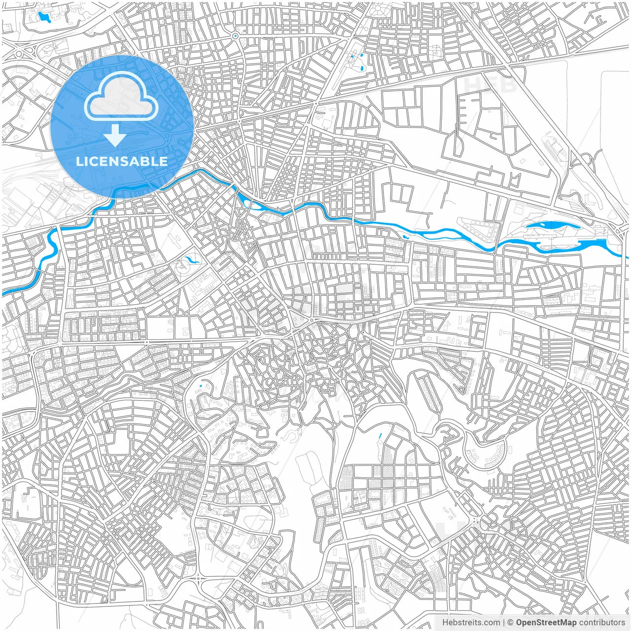 Eskişehir, Eskişehir, Turkey, city map with high resolution roads.