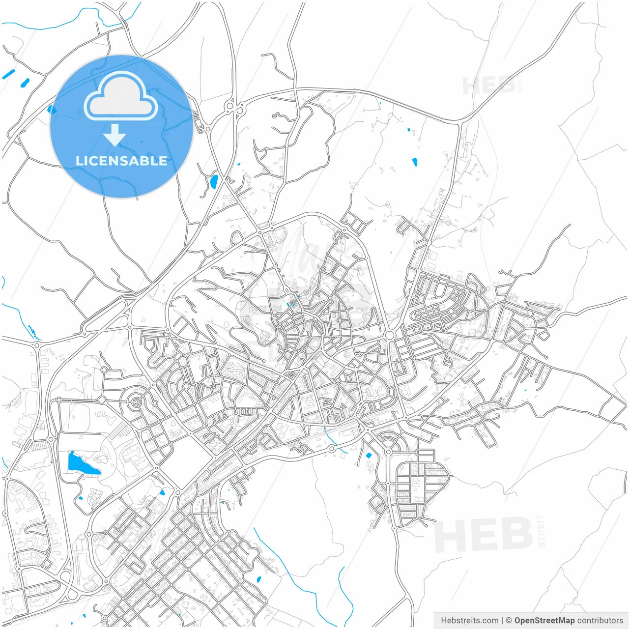 Castelo Branco, Castelo Branco, Portugal, city map with high resolution roads.