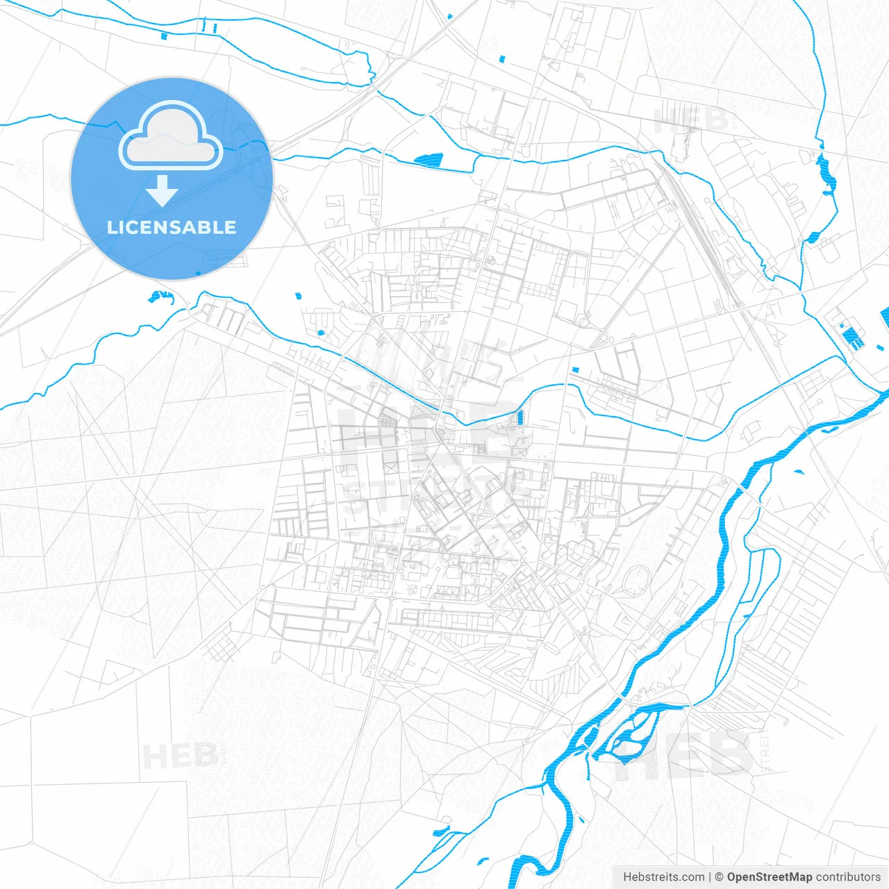 Tomaszów Mazowiecki, Poland PDF vector map with water in focus